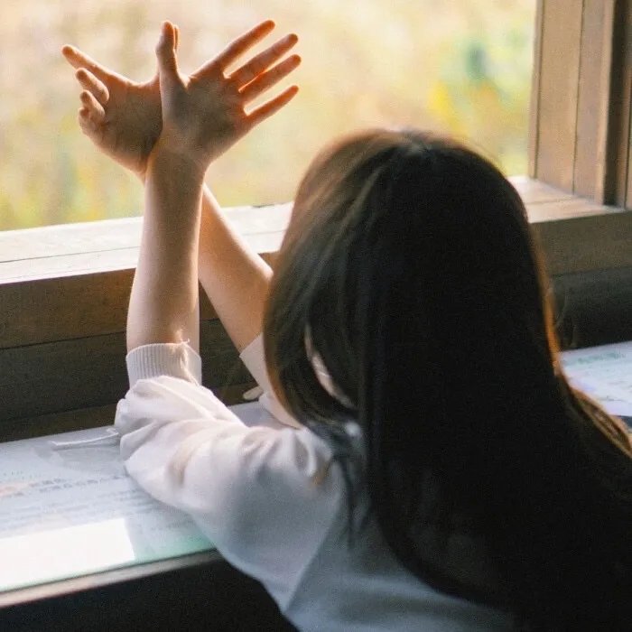 天堂岛疑云:圣诞特辑2022