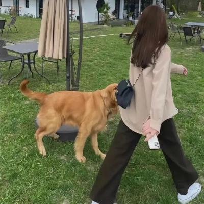 枪手男友请束手就擒
